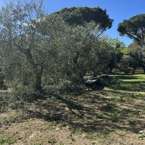 Jardin 4